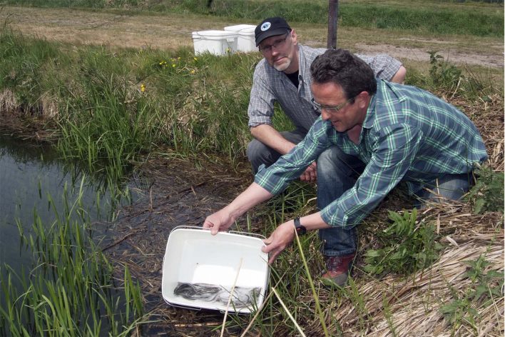 Aquaculture Experience Aquafeed Dupan