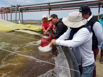 Aquaculture Experience Aquafeed Agripac Ecuador