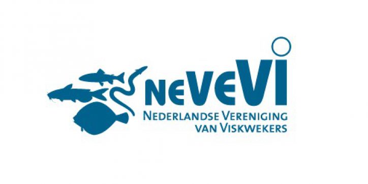 Board member NeVeVi